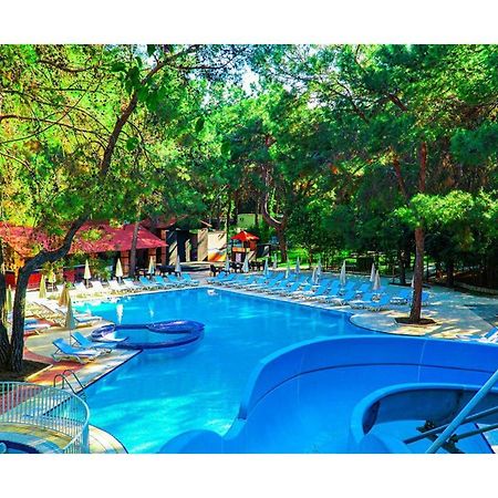 Festival Nature Hotel Kemer Eksteriør billede
